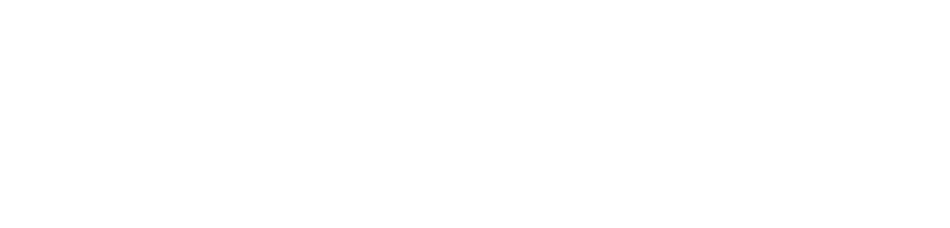 Otter Collective